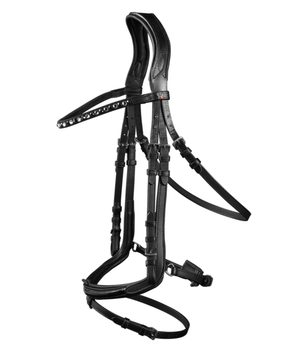 BRIGLIA WALDHAUSEN X-LINE FREEDOM