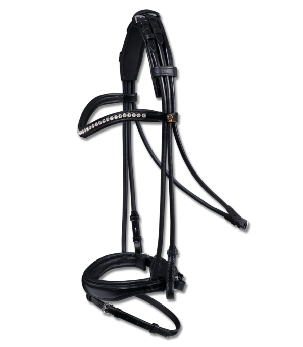 BRIGLIA WALDHAUSEN S-LINE BLACKBURN