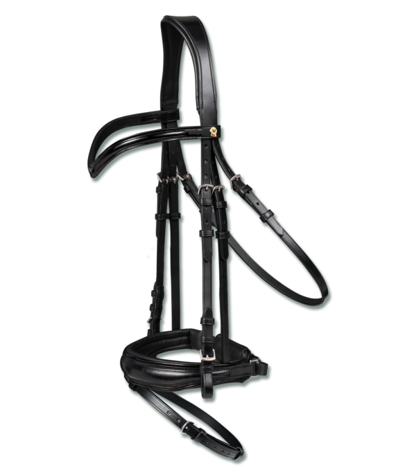 BRIGLIA WALDHAUSEN S-LINE BLACKSHINE IN VERNICE