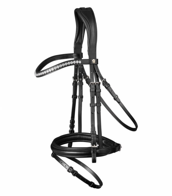 BRIGLIA WALDHAUSEN S-LINE CLASSY