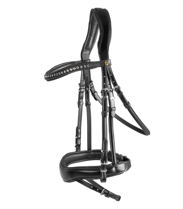 BRIGLIA WALDHAUSEN S-LINE GRAZIOSA