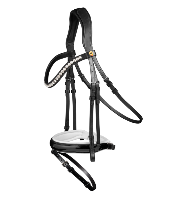 BRIGLIA WALDHAUSEN S-LINE TIMELESS