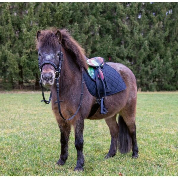 Set Sella Pony Multicolor - immagine 3