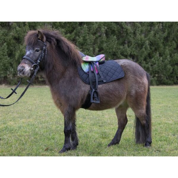 Set Sella Pony Multicolor - immagine 4