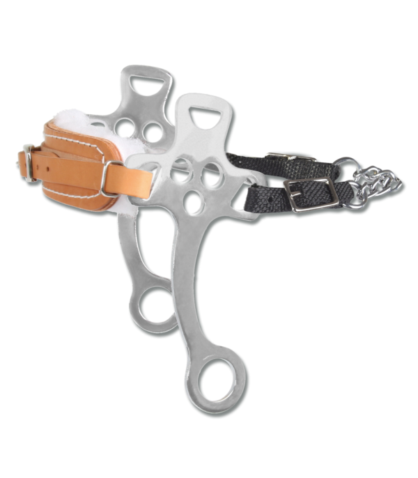 HACKAMORE aste corte