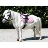 Set sella pony PRINCIPIANTE - immagine 2