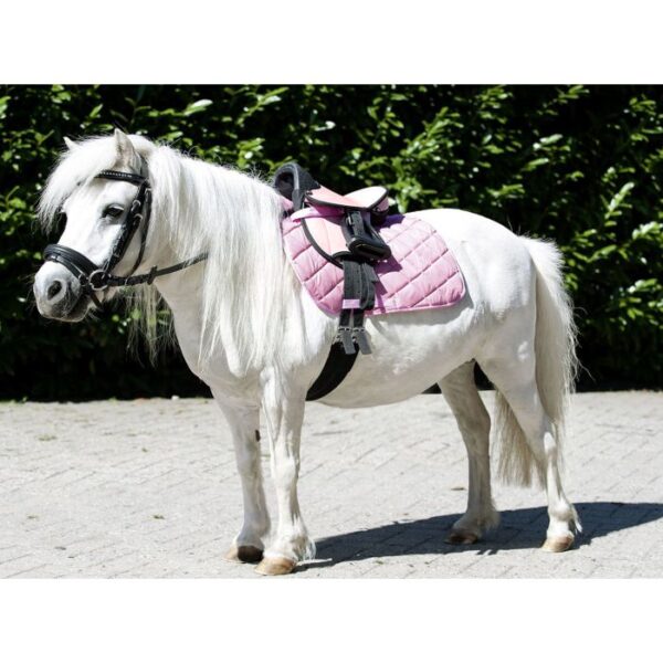 Set sella pony PRINCIPIANTE - immagine 2