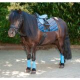 Set sella pony PRINCIPIANTE - immagine 4