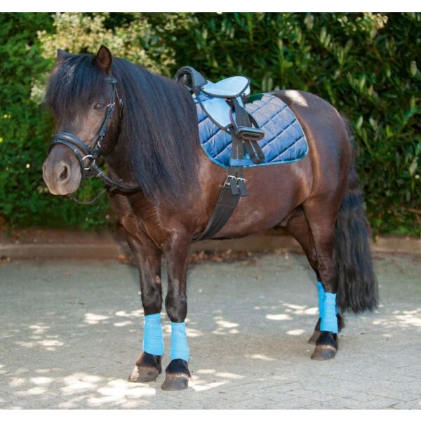 Set sella pony PRINCIPIANTE - immagine 4
