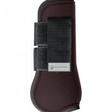 Paratendini BASIC