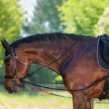 Redini W-TRAINREIN - immagine 2