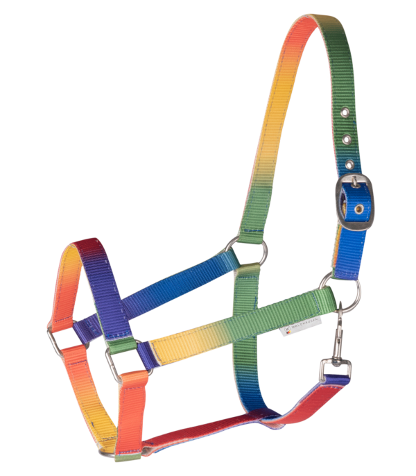 Capezza ARCOBALENO