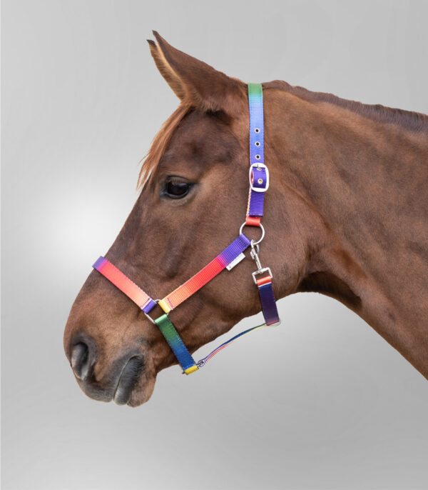 Capezza ARCOBALENO - immagine 2