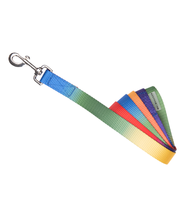 Lunghina ARCOBALENO - immagine 2