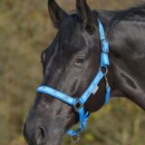 Capezza CAVALLINI - immagine 4
