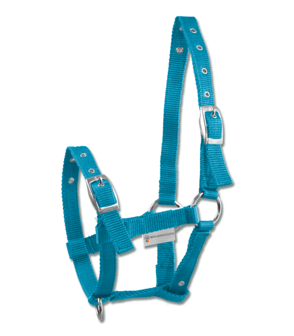 Capezza per puledro TRIPLE