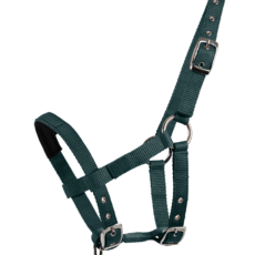 Capezza MINI SHETTY