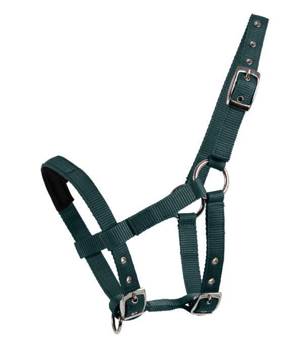 Capezza MINI SHETTY