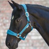 Capezza ALCANTARA - immagine 2