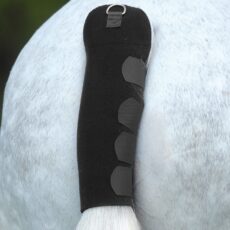 Proteggicoda