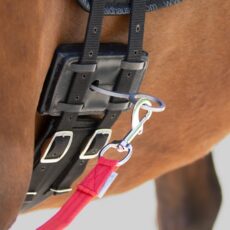 Supporto per longia EQUIBENDER
