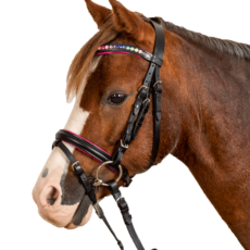 Briglia STAR PINKY