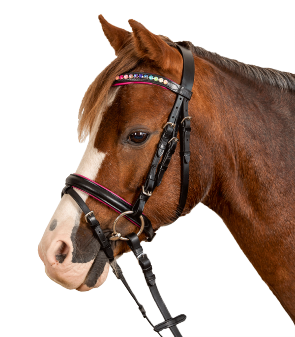 Briglia STAR PINKY