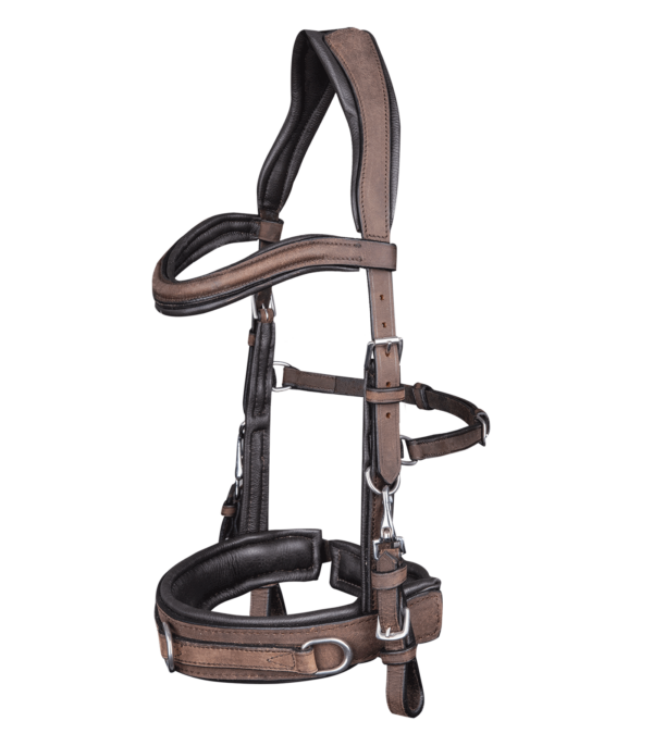 Capezzone in cuoio ANATOMIC