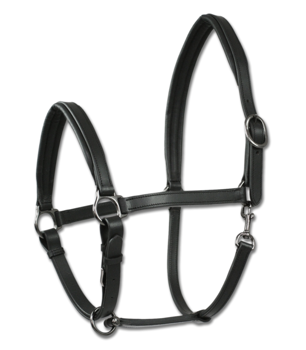 Capezza in cuoio X-LINE FINESSE II