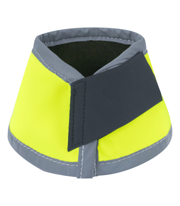 Paraglomi REFLEX