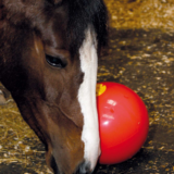 LIKIT Snak-a-Ball - immagine 2