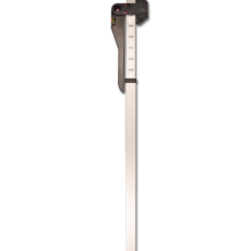 Ippometro