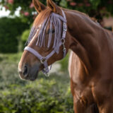 Frangia antimosche Salon - immagine 2