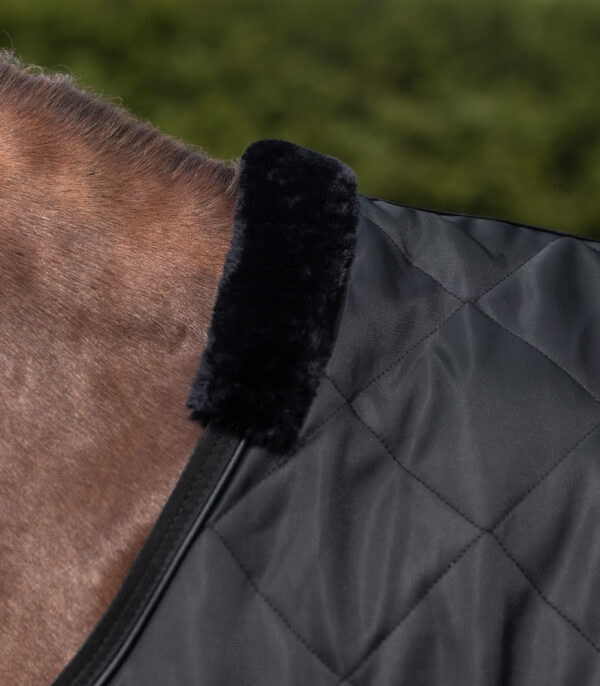 Coperta da giostra Exclusive - immagine 2