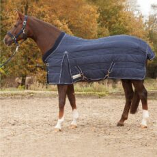 Coperta da stalla Comfort 100g