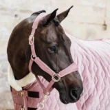Redine in Corda Basic - immagine 4