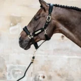 Redine in Corda Basic - immagine 6