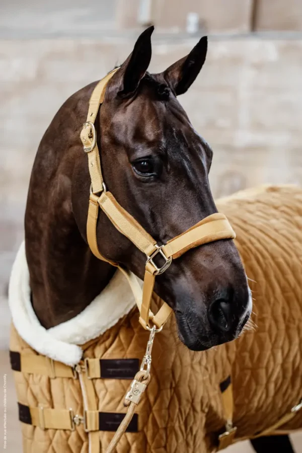 Redine in Corda Basic - immagine 16