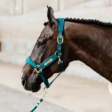 Redine in Corda Basic - immagine 14