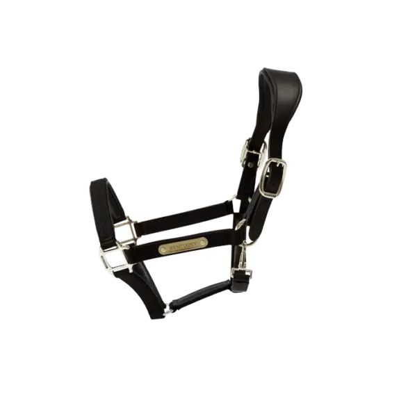Cavezza Anatomica in Nylon - immagine 5