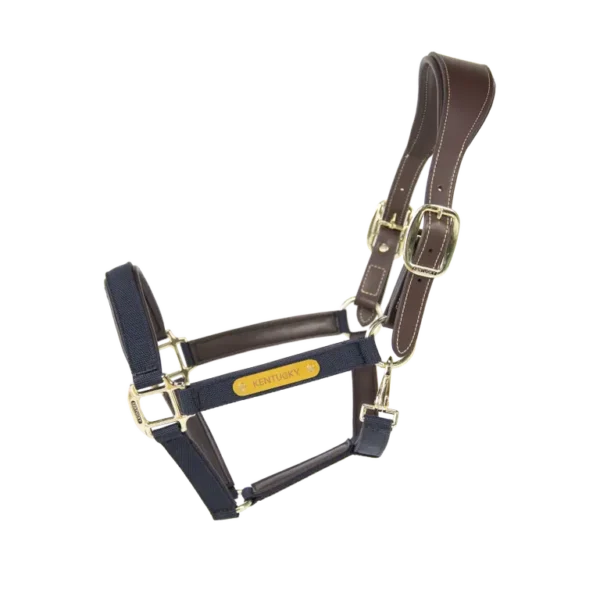 Cavezza Anatomica in Nylon - immagine 2
