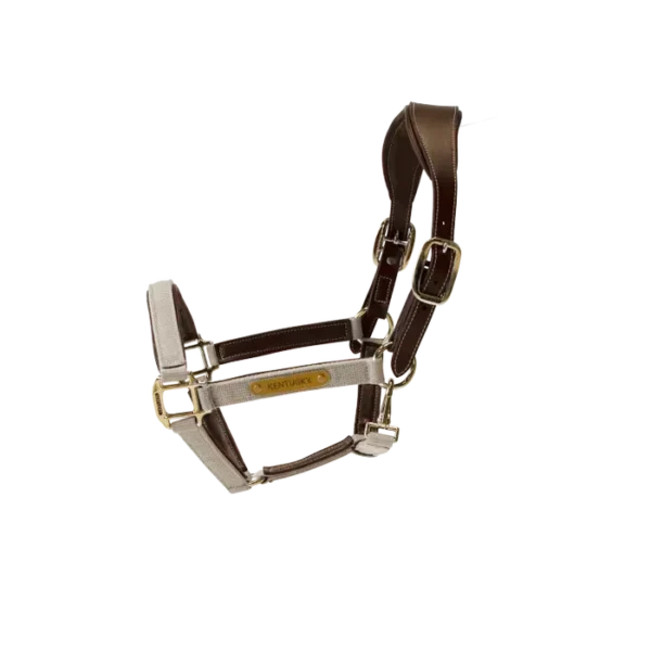 Cavezza Anatomica in Nylon - immagine 10