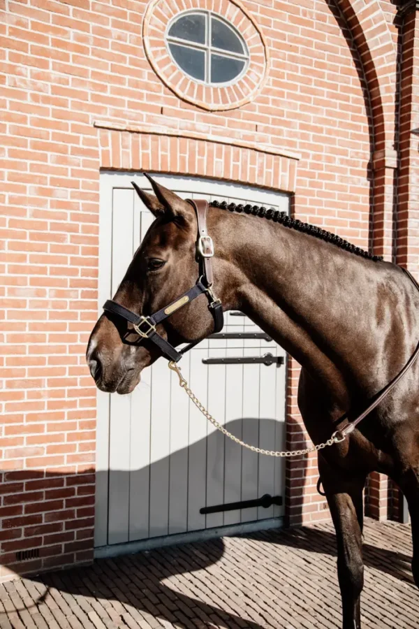 Redini a Catena in Pelle - immagine 3