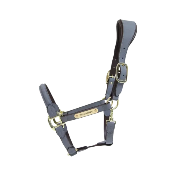 Cavezza Anatomica in Camoscio - immagine 6