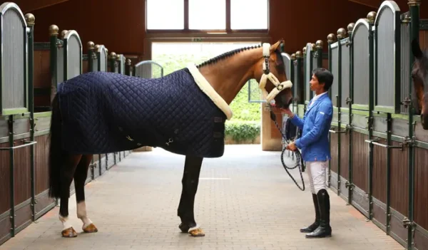 Kentucky Show Rug 160G - immagine 34