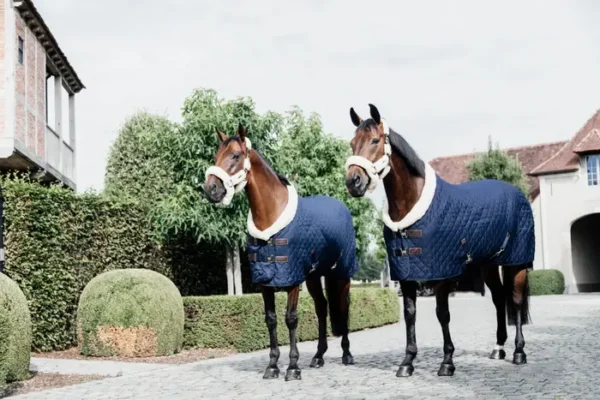 Kentucky Show Rug 160G - immagine 33