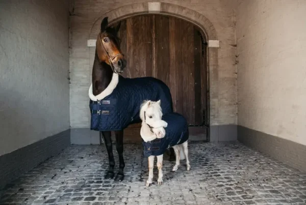Kentucky Show Rug 160G - immagine 31
