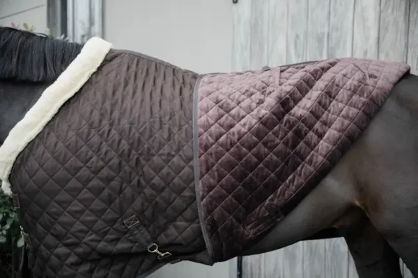 Kentucky Show Rug 160G - immagine 14