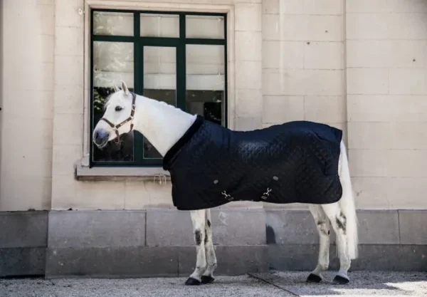 Kentucky Show Rug 160G - immagine 6