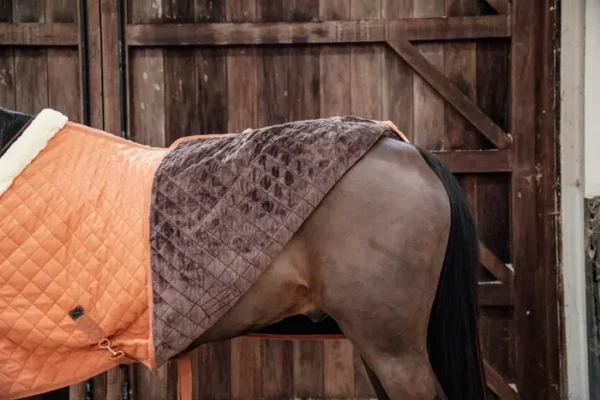 Kentucky Show Rug 160G - immagine 30
